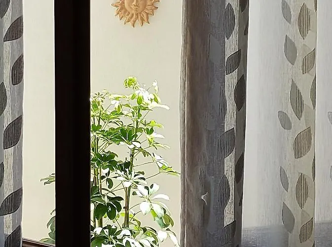 Appartement Casa Ninetta *